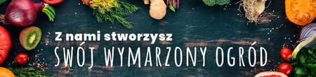 MAK Syberyjski mieszanka kolorów nasiona 0,3 g do ogródków skalnych